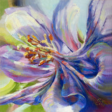 Load image into Gallery viewer, Colorado Columbine