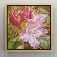 Load image into Gallery viewer, Budding Rhododendron