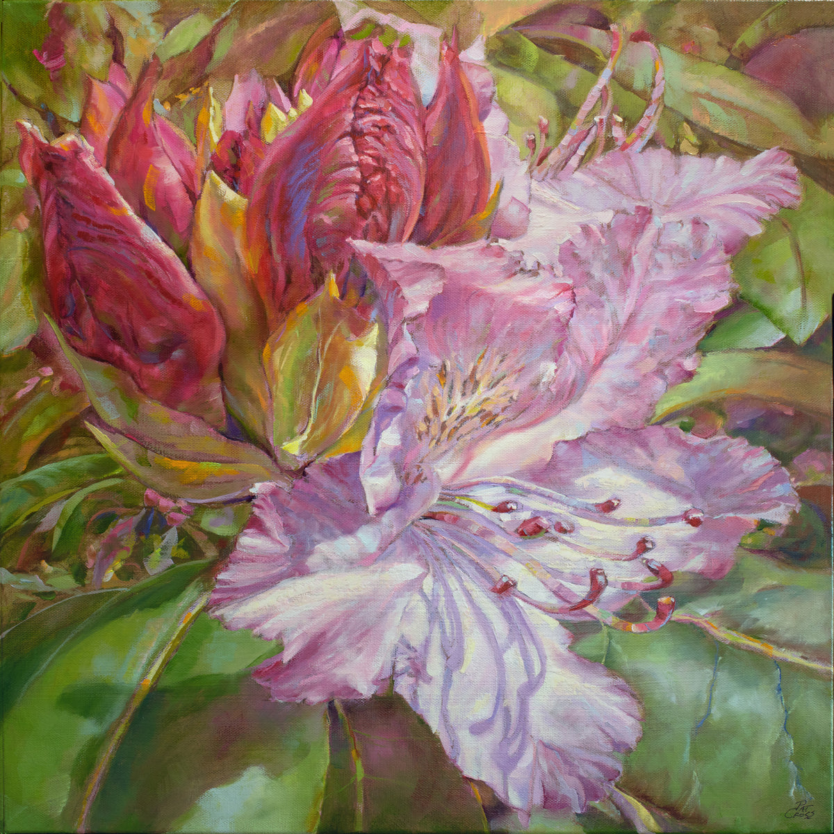 rhododendron art Budding Rhododendron – Pat Cross Art