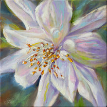 Load image into Gallery viewer, New oil paintings by Pat Cross on garden florals are now available at the Eggplant