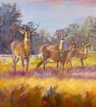 Load image into Gallery viewer, Amazing Graze original oil painting detail of buck and does by Pat Cross.