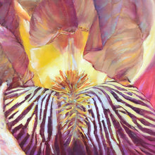 Load image into Gallery viewer, Close up detail of Bearded Beauty original oil painting by Pat Cross.