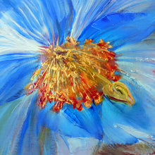 Load image into Gallery viewer, Himalayan Blue Poppy