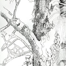 Load image into Gallery viewer, Hello My Friend original pen and ink drawing detail of tree by Pat Cross.