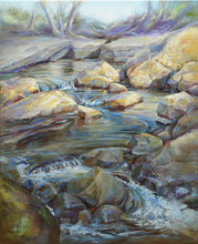 Load image into Gallery viewer, River Rock Garden