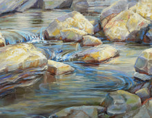 Load image into Gallery viewer, River Rock Garden