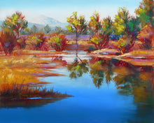 Load image into Gallery viewer, The Looking Glass