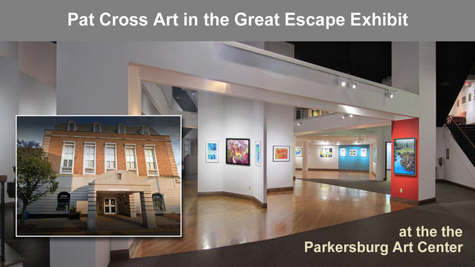 Pat Cross Awarded First Place in the Great Escape Exhibit.