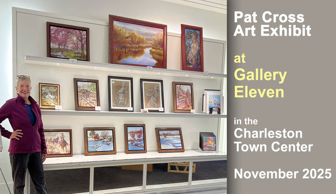 Pat Cross Art Now Showing at Gallery Eleven in November 2025