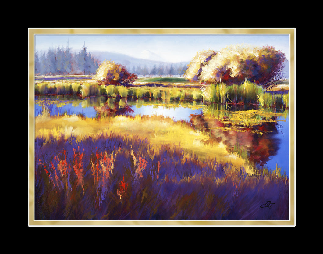 Autumn River Willows 11x14 Print