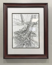 Load image into Gallery viewer, Custom framed original pen and ink drawing by Pat Cross titled Back to Her Roots.
