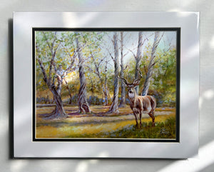 The Buck Stops Here Matted Print