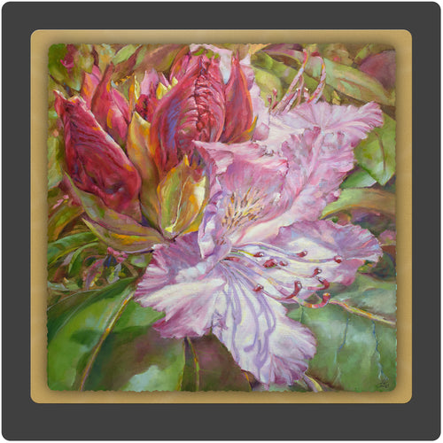 Budding Rhododendron 10x10 Print by Pat Cross