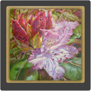 Budding Rhododendron 10x10 Print by Pat Cross