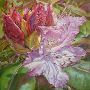 Budding Rhododendron