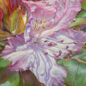 Budding Rhododendron