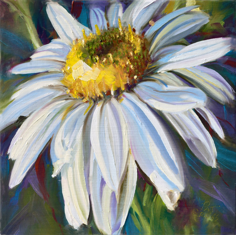 Crisp White Daisy oil painting by Pat Cross.