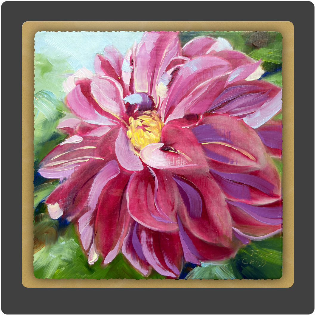 Dawning Dahlia 10x10 Print by Pat Cross.