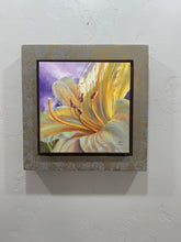 Load image into Gallery viewer, Yellow Stella Daylily
