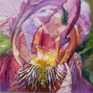 Inviting Iris oil painting by Pat Cross.