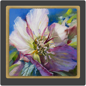 Lenten Rose 10x10 Print by Pat Cross