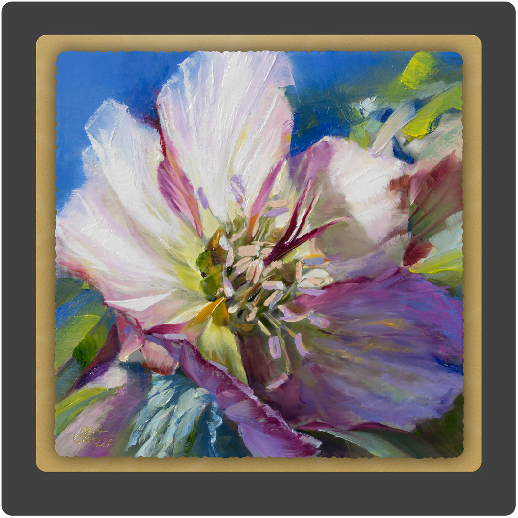 Lenten Rose 10x10 Print by Pat Cross