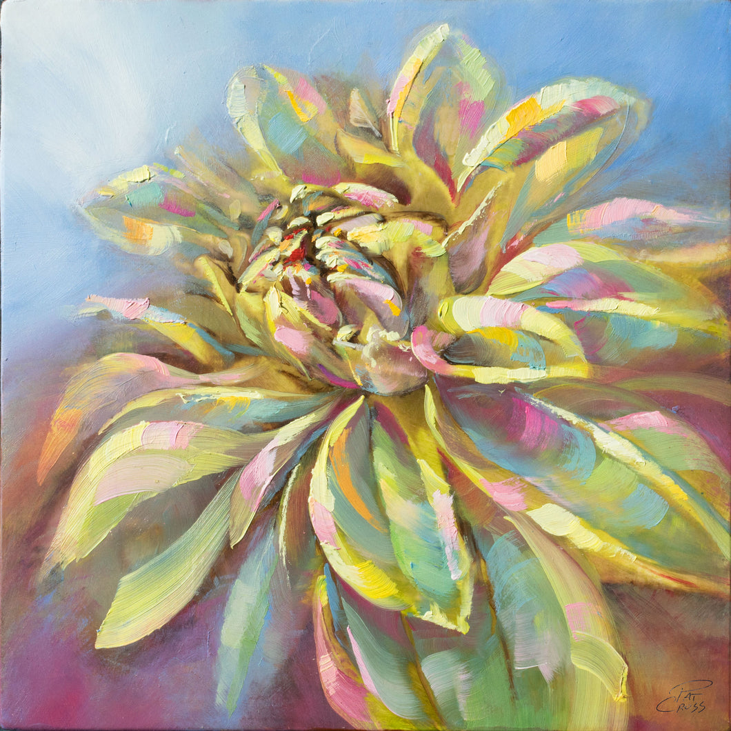 Original oil painting titled Misty Succulent by Pat Cross