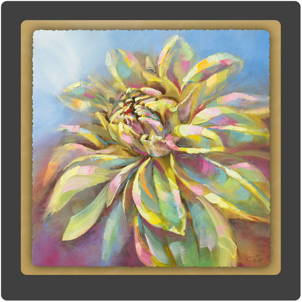 Misty Succulent 10x10 Print by Pat Cross