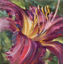 Load image into Gallery viewer, Passion Red Daylily oil painting by Pat Cross.
