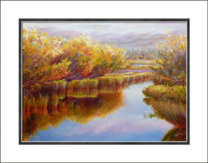 River Willow Reflections 11x14 Print by Pat Cross