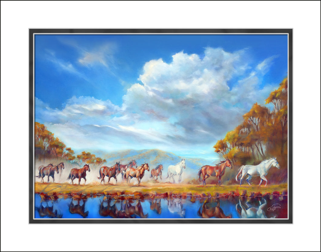 On to Greener Pastures 11x14 Print
