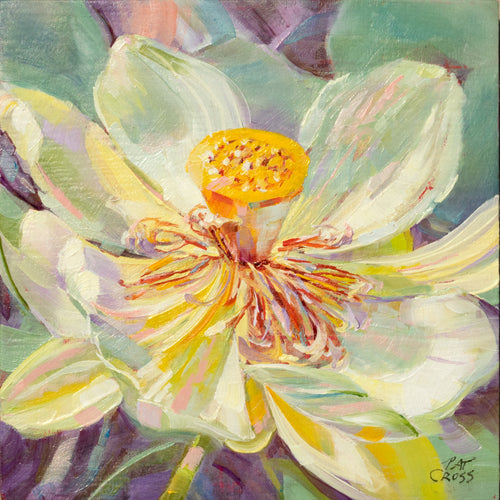Water Lily Wonder by Pat Cross