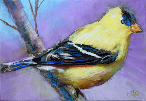 Alluring Goldfinch original painting by Pat Cross.