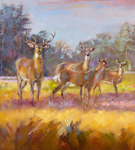 Load image into Gallery viewer, Amazing Graze original oil painting detail of buck and does by Pat Cross.
