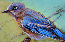 Load image into Gallery viewer, Backyard Bluebird painting by Pat Cross
