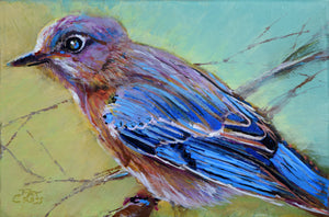 Backyard Bluebird painting by Pat Cross