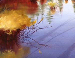 Detail of Fall River original oil painting by Pat Cross