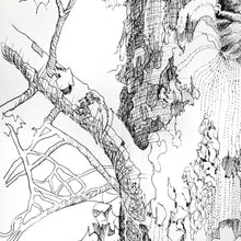 Load image into Gallery viewer, Hello My Friend original pen and ink drawing detail of tree by Pat Cross.
