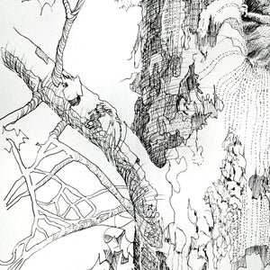 Hello My Friend original pen and ink drawing detail of tree by Pat Cross.