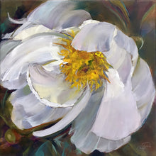 Load image into Gallery viewer, Peony White Delight 8x8 original oil painting by Pat Cross.
