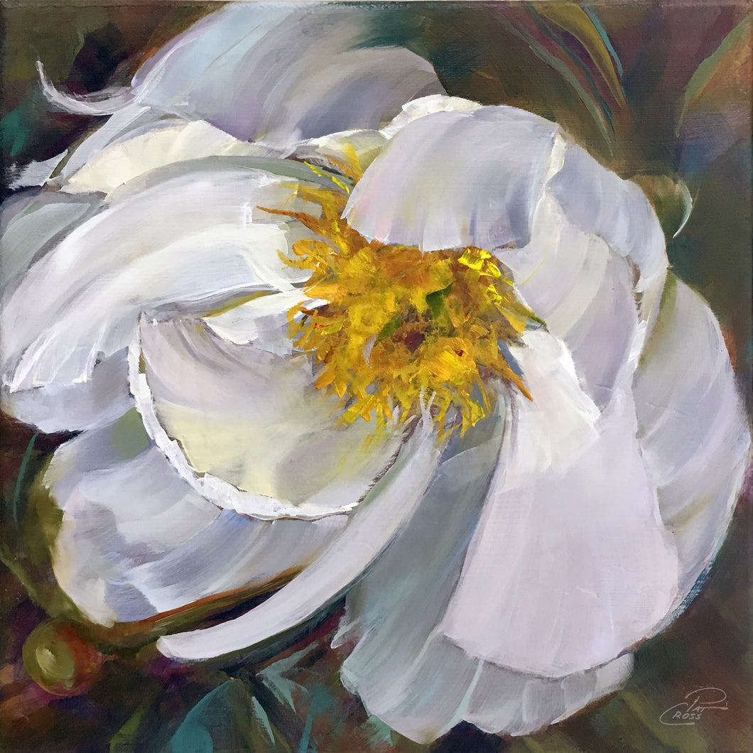 Peony White Delight 8x8 original oil painting by Pat Cross.