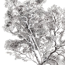 Load image into Gallery viewer, Picnic Under the Sycamore pen and ink drawing detail of tree by Pat Cross.
