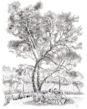 Load image into Gallery viewer, Picnic Under the Sycamore pen and ink drawing by Pat Cross.
