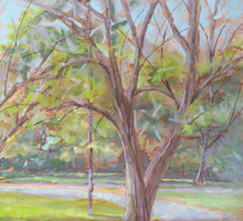 Load image into Gallery viewer, Vivaldi in the Park oil painting detail of trees by Pat Cross.

