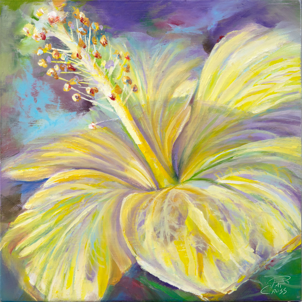 Yellow Hibiscus original oil painting by Pat Cross